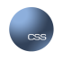 CSS Stores Logo